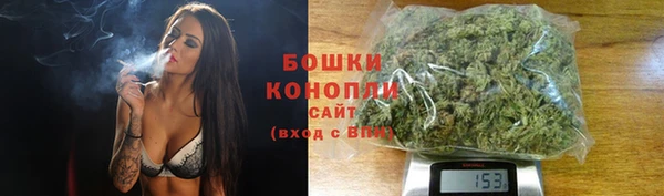 трава Абаза