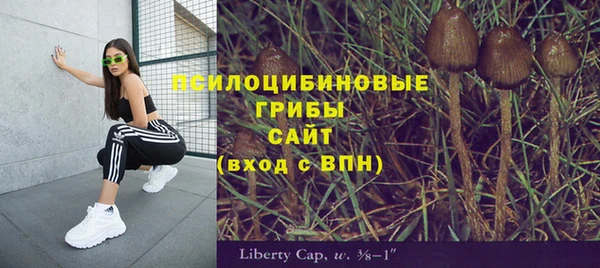 трава Абаза