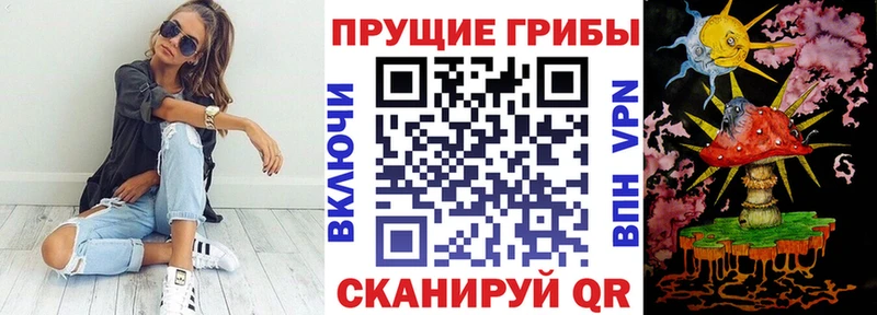 Галлюциногенные грибы Psilocybine cubensis  Омск 