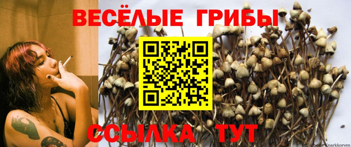 Галлюциногенные грибы прущие грибы Омск