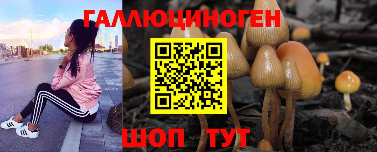 Омск  Псилоцибиновые грибы прущие грибы  где найти   Вход с VPN 